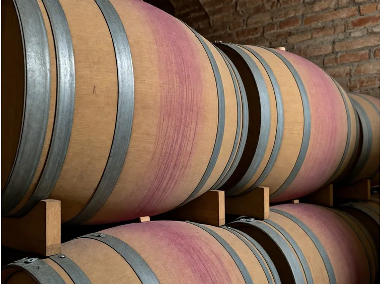 Barriques per l'invecchiamento del vino