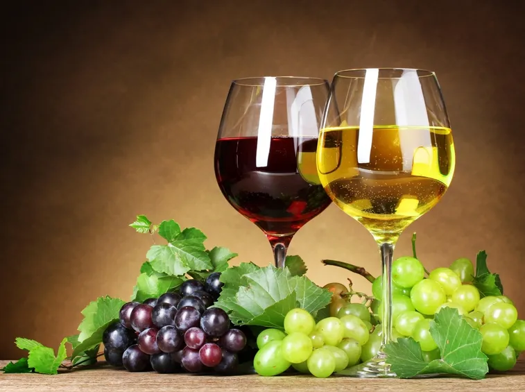 vino rosso - vino bianco