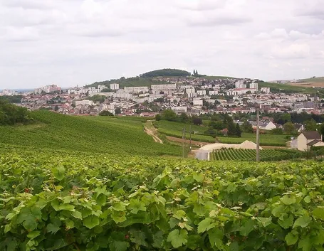 Spettacolari vigneti ad Épernay