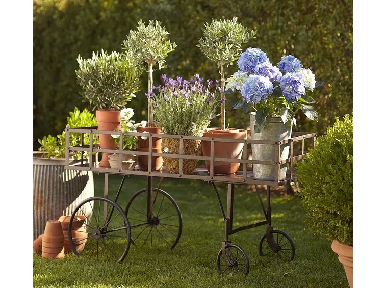 decorazione giardino