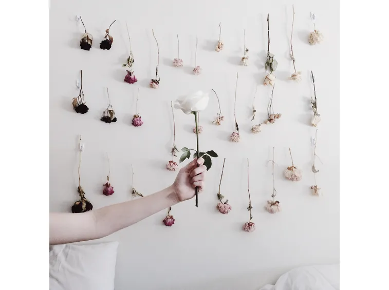 fiori secchi