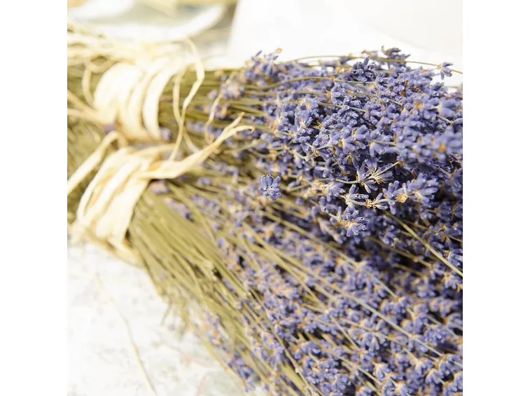 fiori secchi lavanda