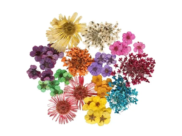 fiori secchi