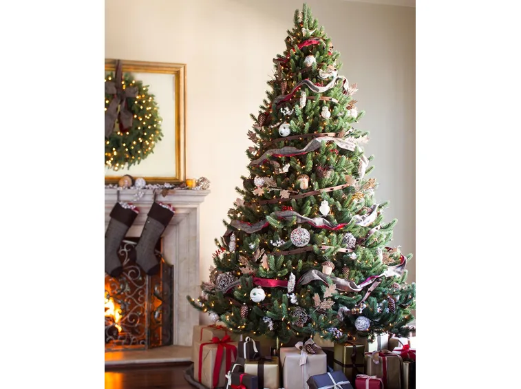 Abete rosso natale