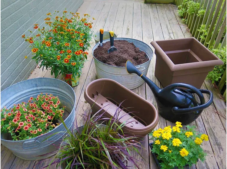 coltivare sul balcone