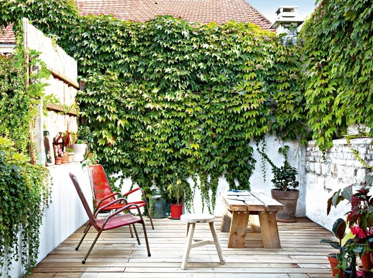 piante in terrazzo