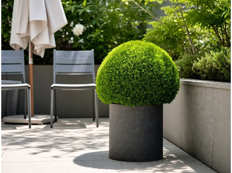 giardino in terrazzo