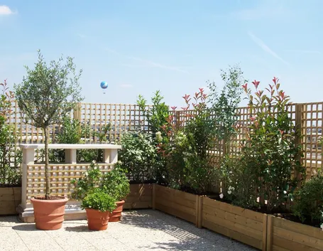 piante da vaso per terrazzo