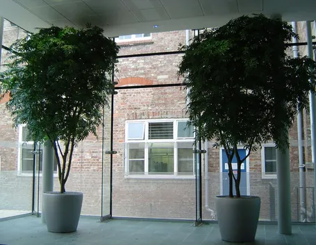 piante artificiali