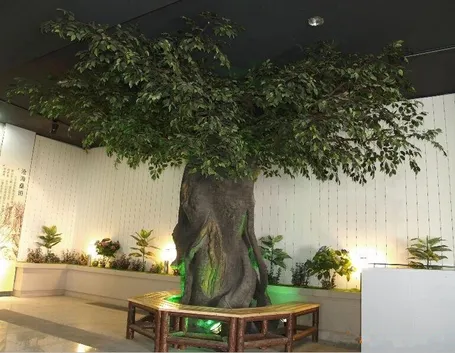 ficus finto
