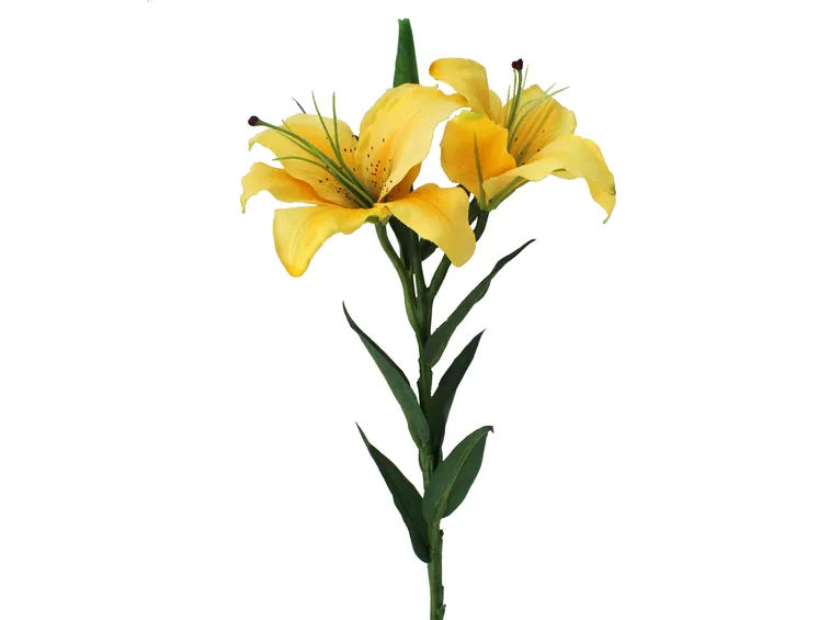 fiori real touch