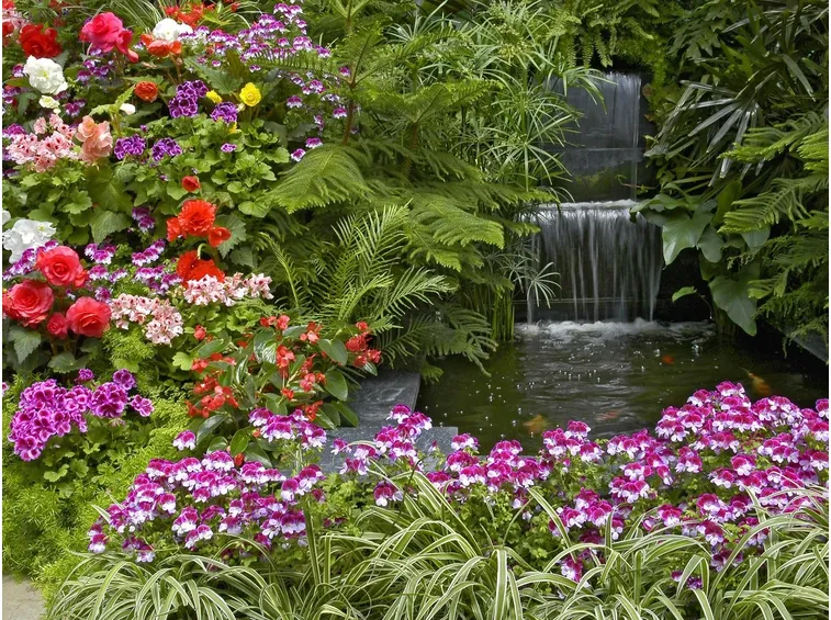 Video corsi giardinaggio