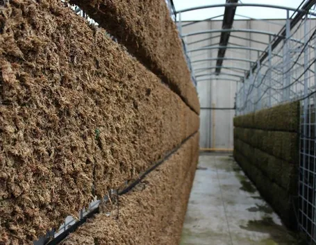 corso progettazione verde verticale