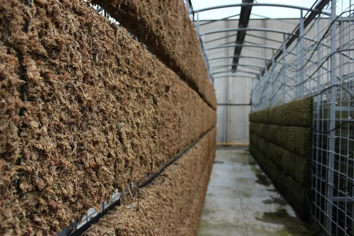 corso progettazione verde verticale