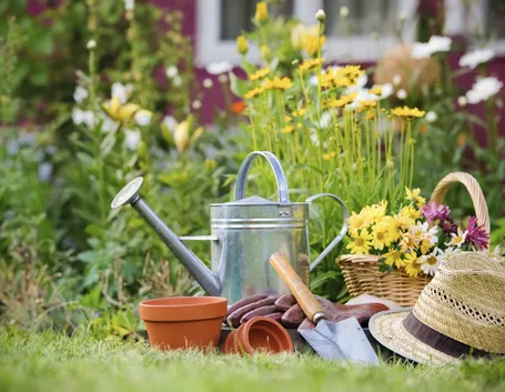 speciali di giardinaggio.live