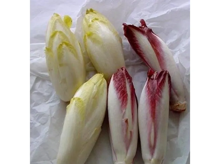 radicchio
