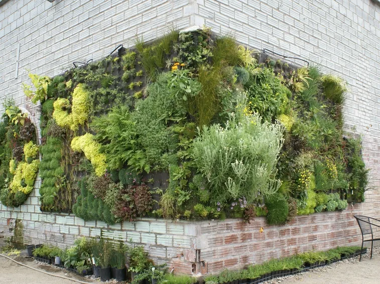 Cura e manutenzione del giardino verticale