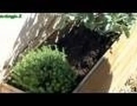 posizione e scelta ortaggi