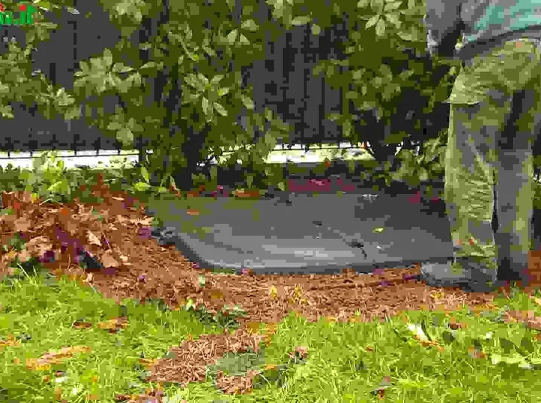 Introduzione alle tecniche di giardinaggio