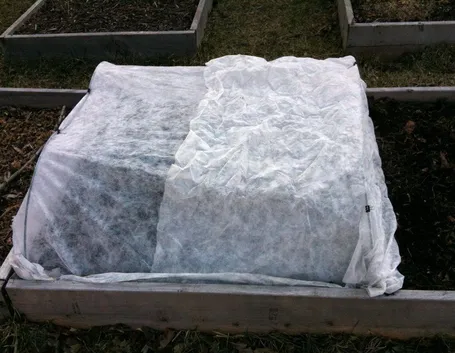 semina in letto caldo