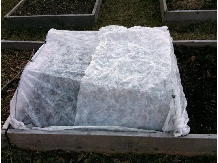 semina in letto caldo