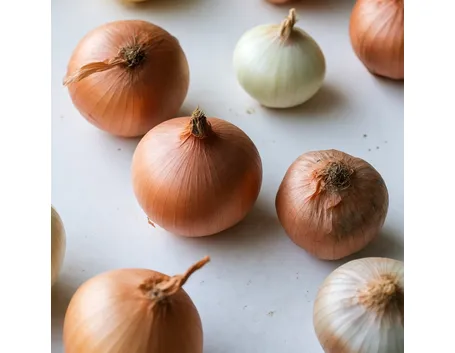 cipolle