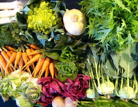 trapianto verdure invernali